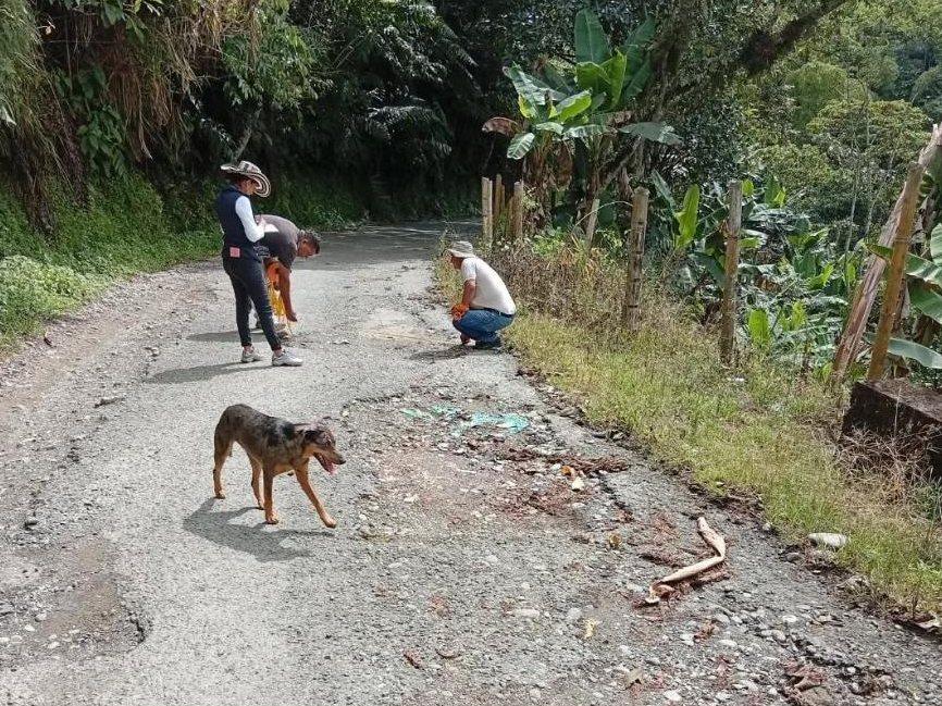 Visita técnica de seguimiento a la vía